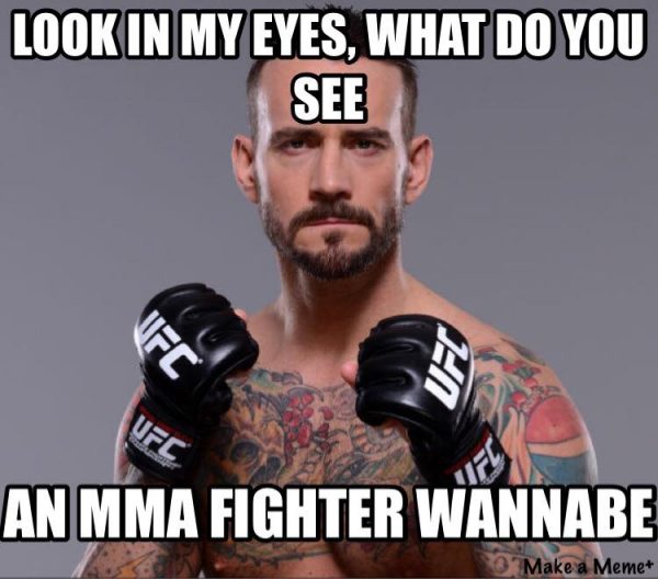 MMA-Fighter-Wannabe-e1473593993401.jpg