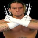 CMPunk.jpg