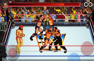 20120126_wrestlefest_royalrumble.jpg