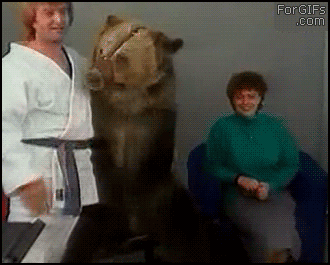 Karate-bear-attacks-woman.gif