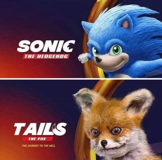 sonic_and_tails_meme-thumb-700x691-210810.jpg