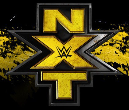 Wwe_nxt_logo_2014_2.png