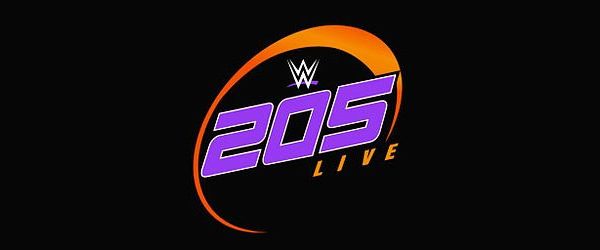 WWE-205-Live-Logo-600x250.jpg