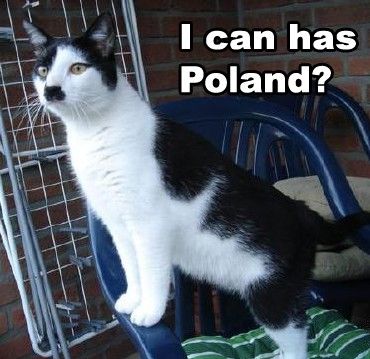 kitler1.jpg