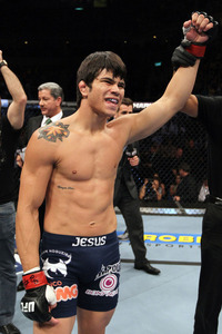 ufc134_03_silva_vs_ramos_003_large.jpg