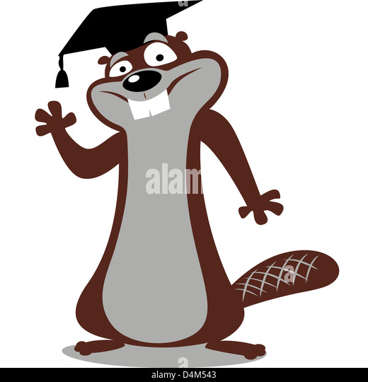 a-beaver-wearing-a-graduation-cap-d4m543.jpg