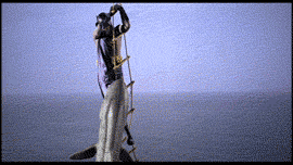505Zy.gif