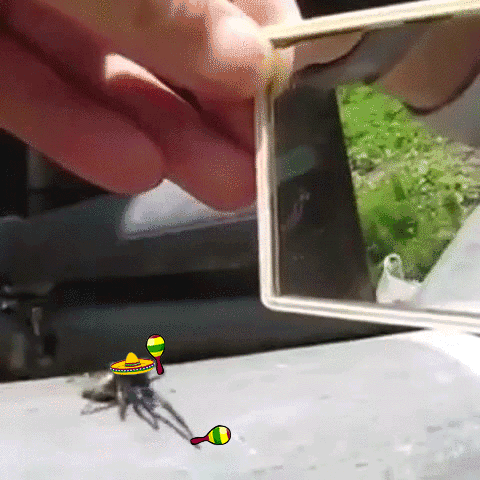 pSUxBXS.gif