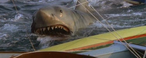 Jaws24.jpg