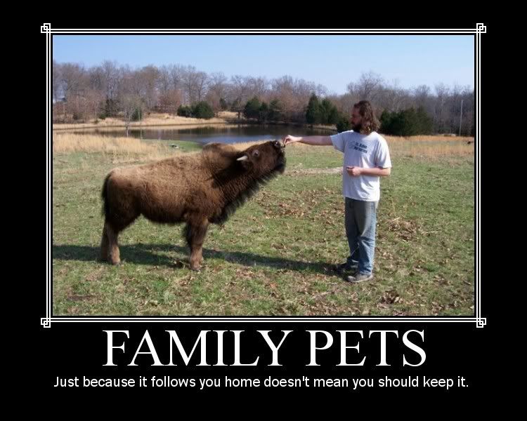 family_pets.jpg