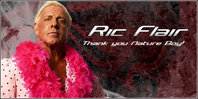 RicFlairV1.png