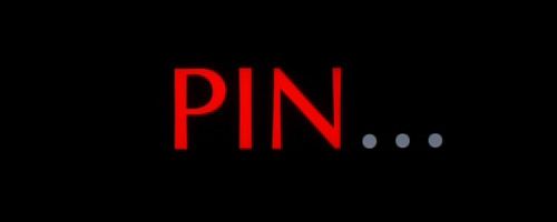 PIN1.jpg
