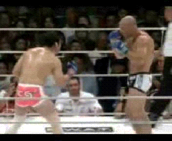 silva-sakuraba.gif
