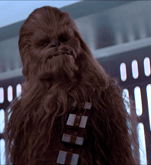 tumblr_n4czonuoxp1s2wio8o1_500.gif