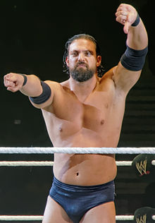 220px-Damien_sandow.jpg