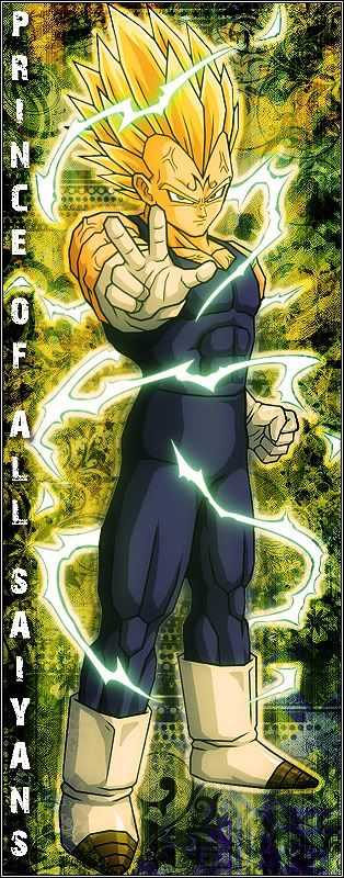 vegetaPOAS.jpg