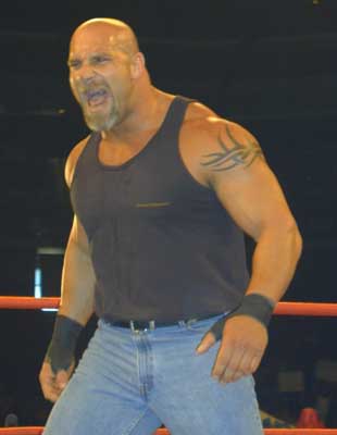 goldberg_3.jpg