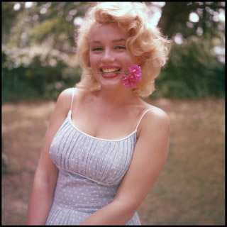 marilyn2.jpg