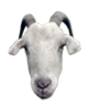 FGpXa.png