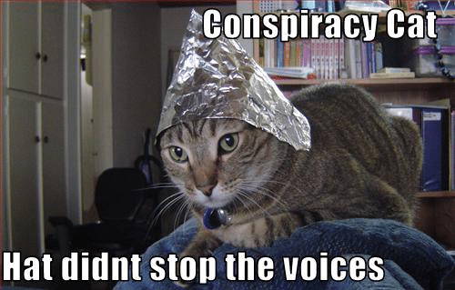 conspiracy-cat.png