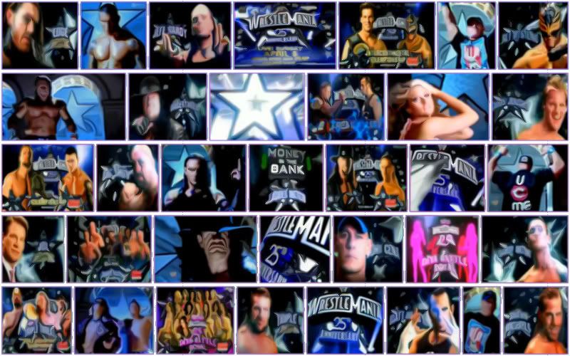 WrestleMania25thAnniversary.jpg