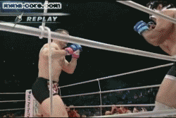 doscaras.gif