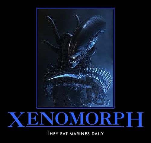 xenomorph.jpg