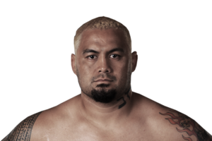 mark_hunt_head_large.png