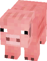 pig.png