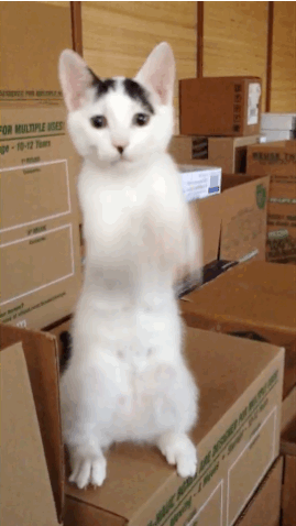 150549.gif
