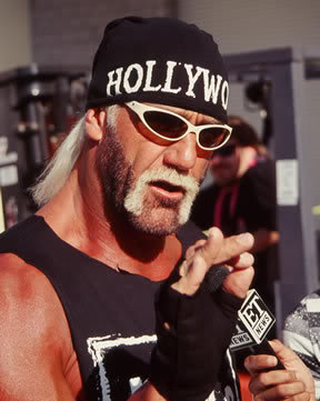 NWo_hulk_hogan.jpg