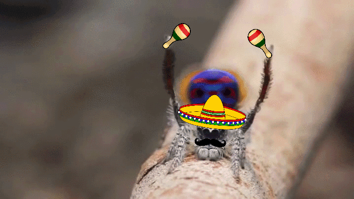 CbRNjam.gif