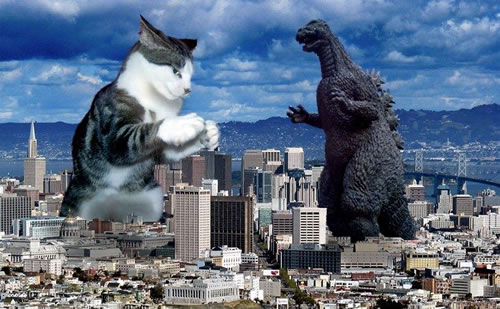 cat-fights-godzilla.jpg