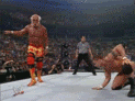 ththRkoHogan.gif