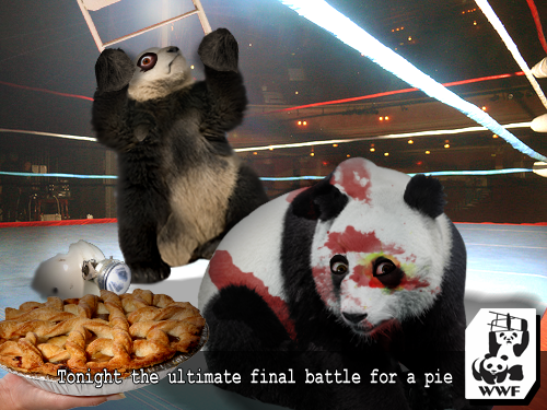 wwf_panda_wrestling_by_makoyomyumi-d42f44l.png