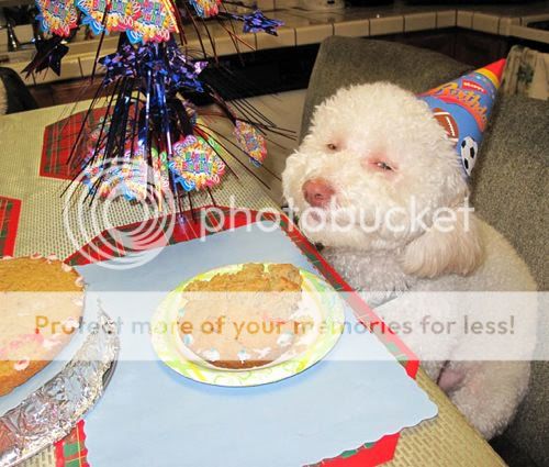 smiling-birthday-dog.jpg