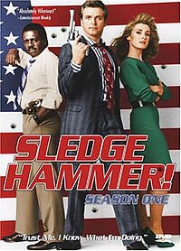 200px-Sledgehammer-dvd.jpg