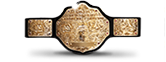 20120315_belts_heavyweight.png