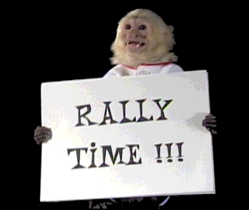 rallymonkey.jpg