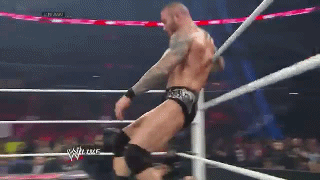 Spinebuster%2B1.gif