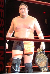 samoa_joe_bloomington_il_062008.jpg