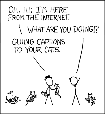 CatCaptions.png