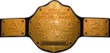 th_TITLE05__World-Heavyweight-Championship.png